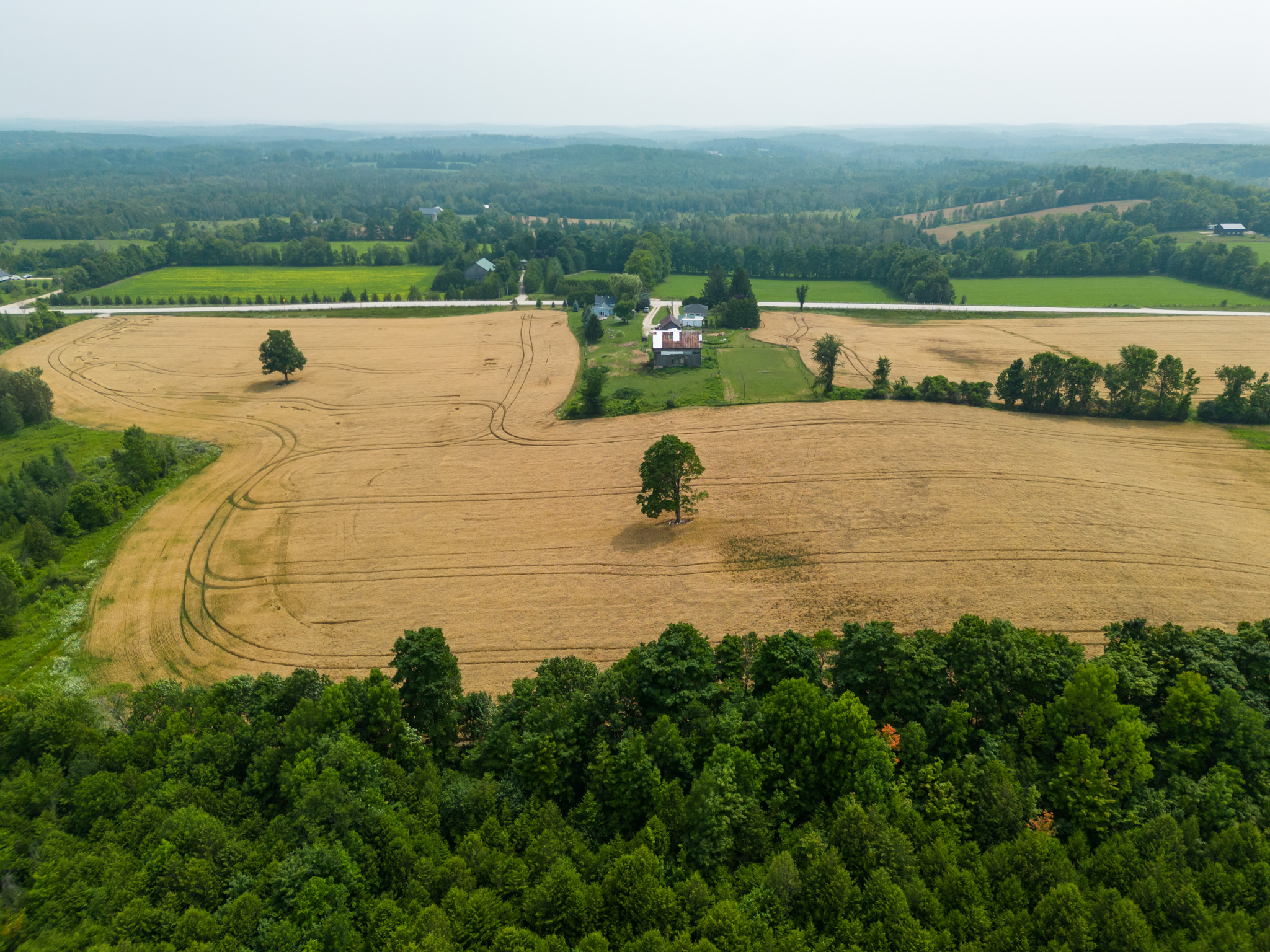 Elmood Farms For Sale