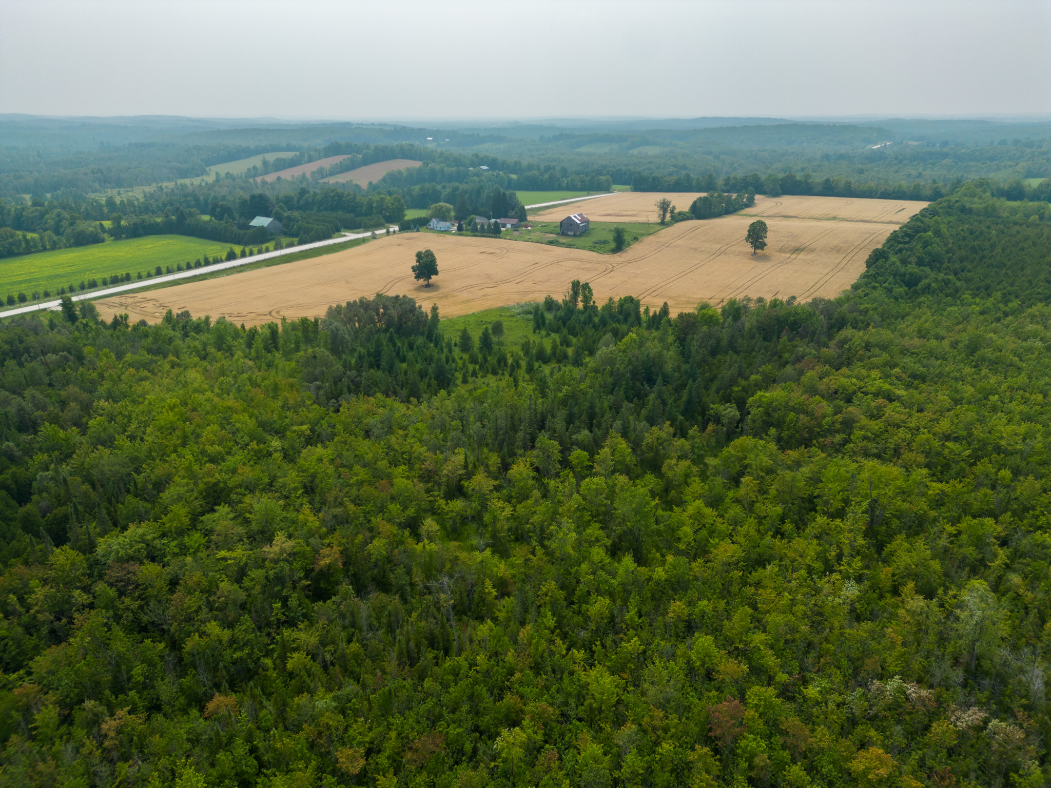 Elmood Farms For Sale