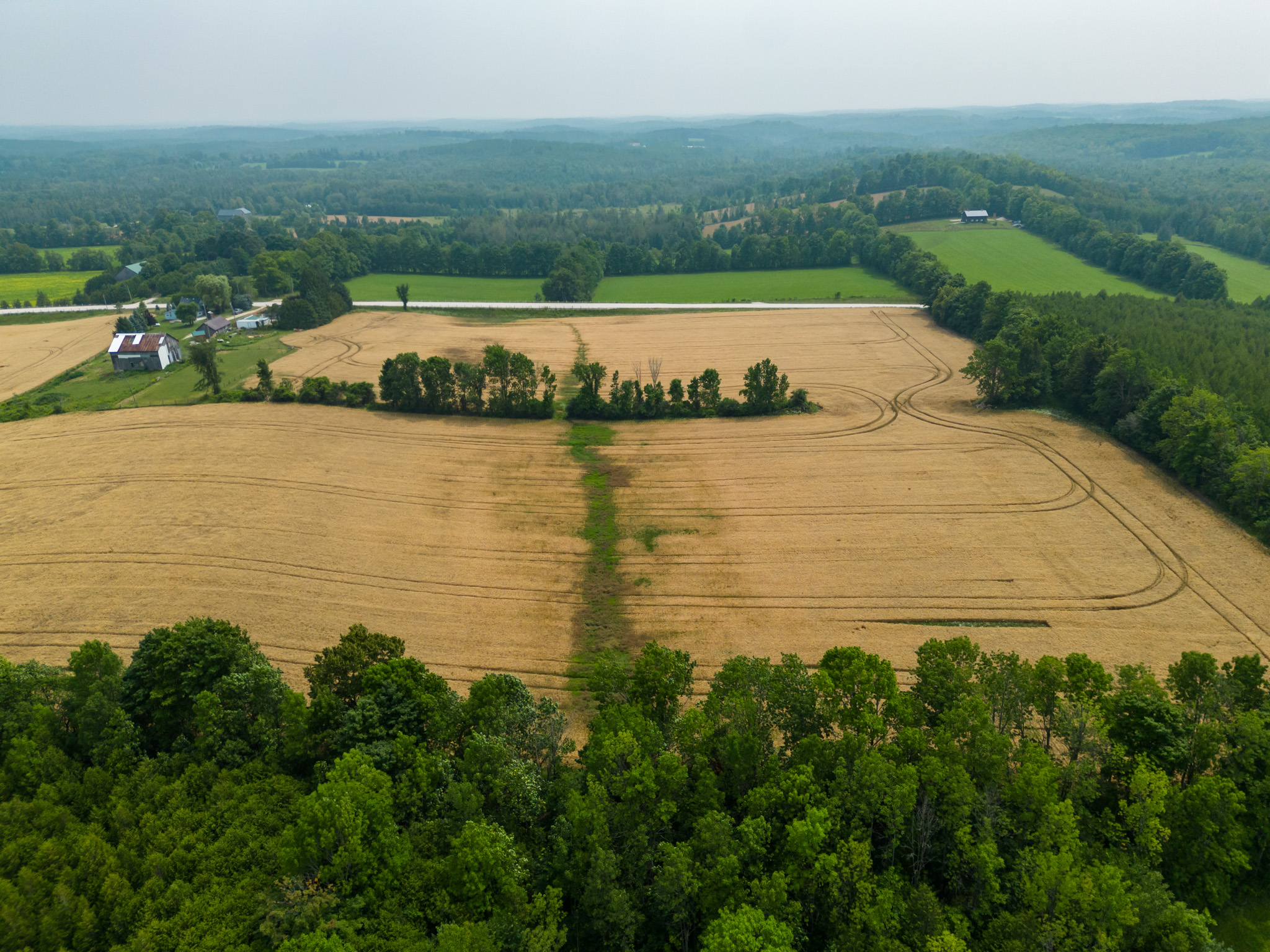 Elmood Farms For Sale