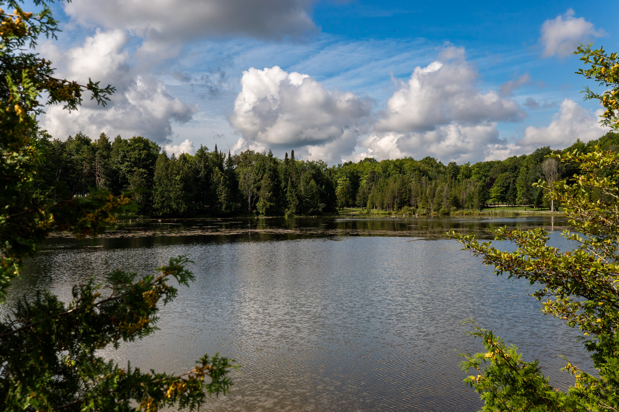 Flesherton Homes For Sale