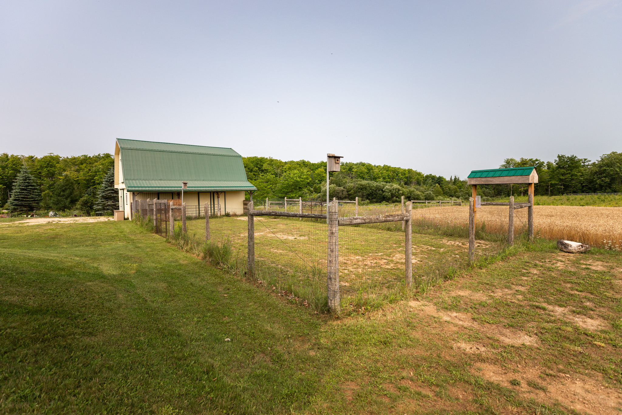 Markdale Homes For Sale