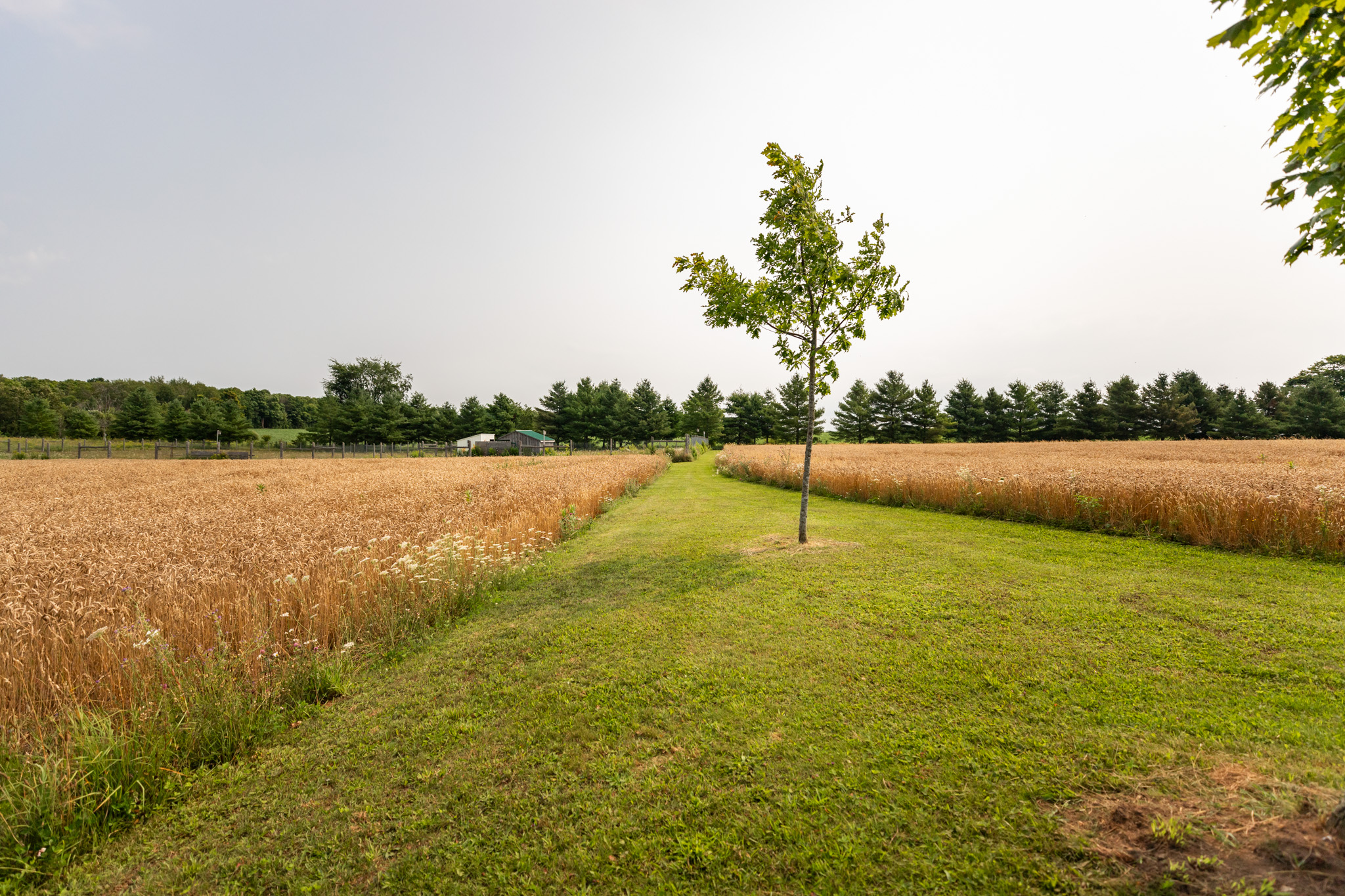 Markdale Homes For Sale