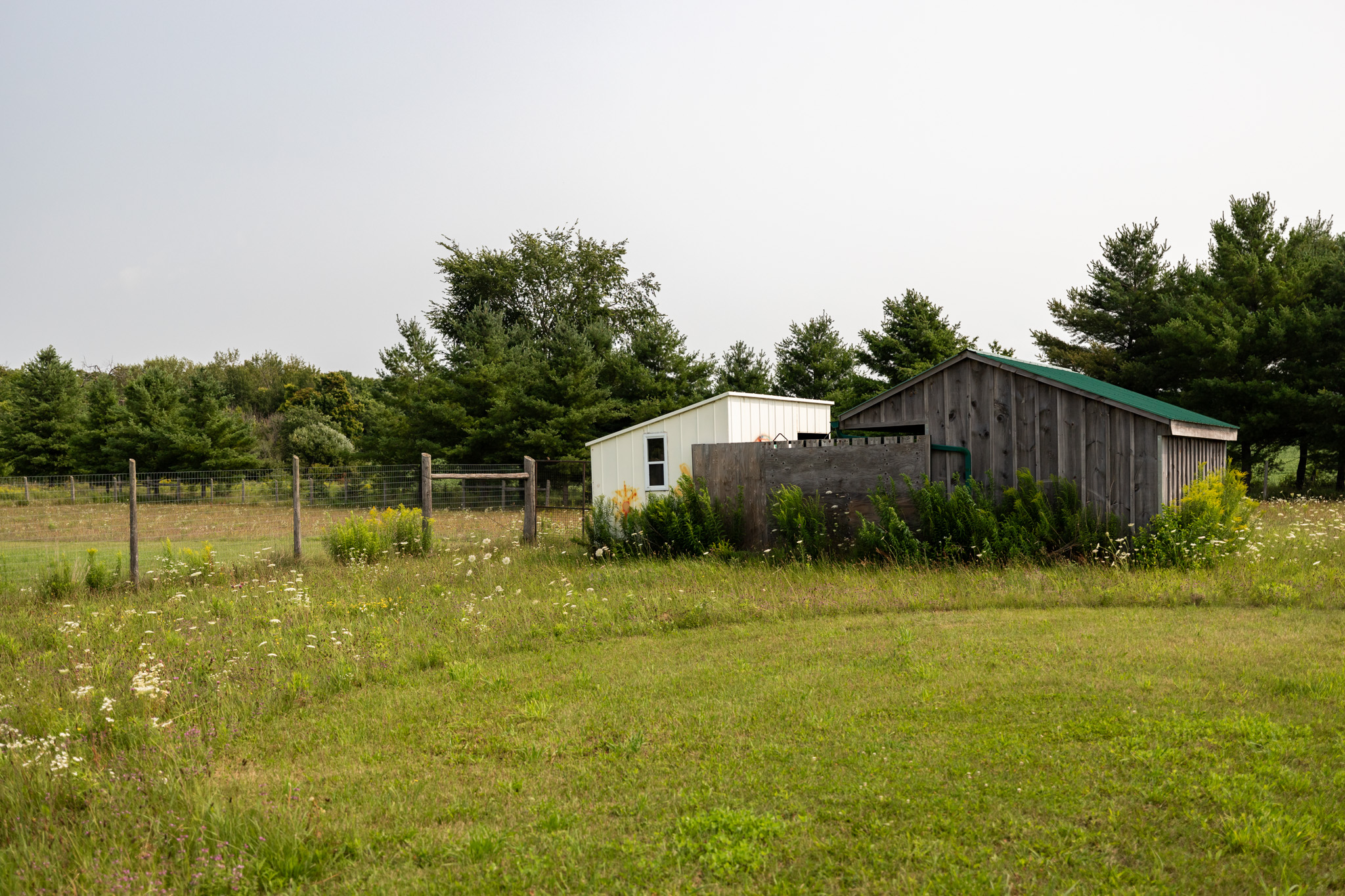 Markdale Homes For Sale