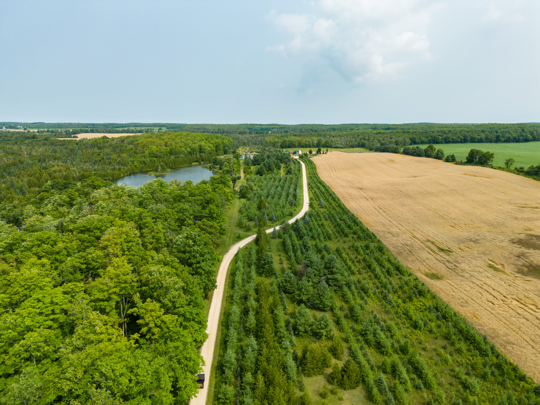 Markdale Homes For Sale