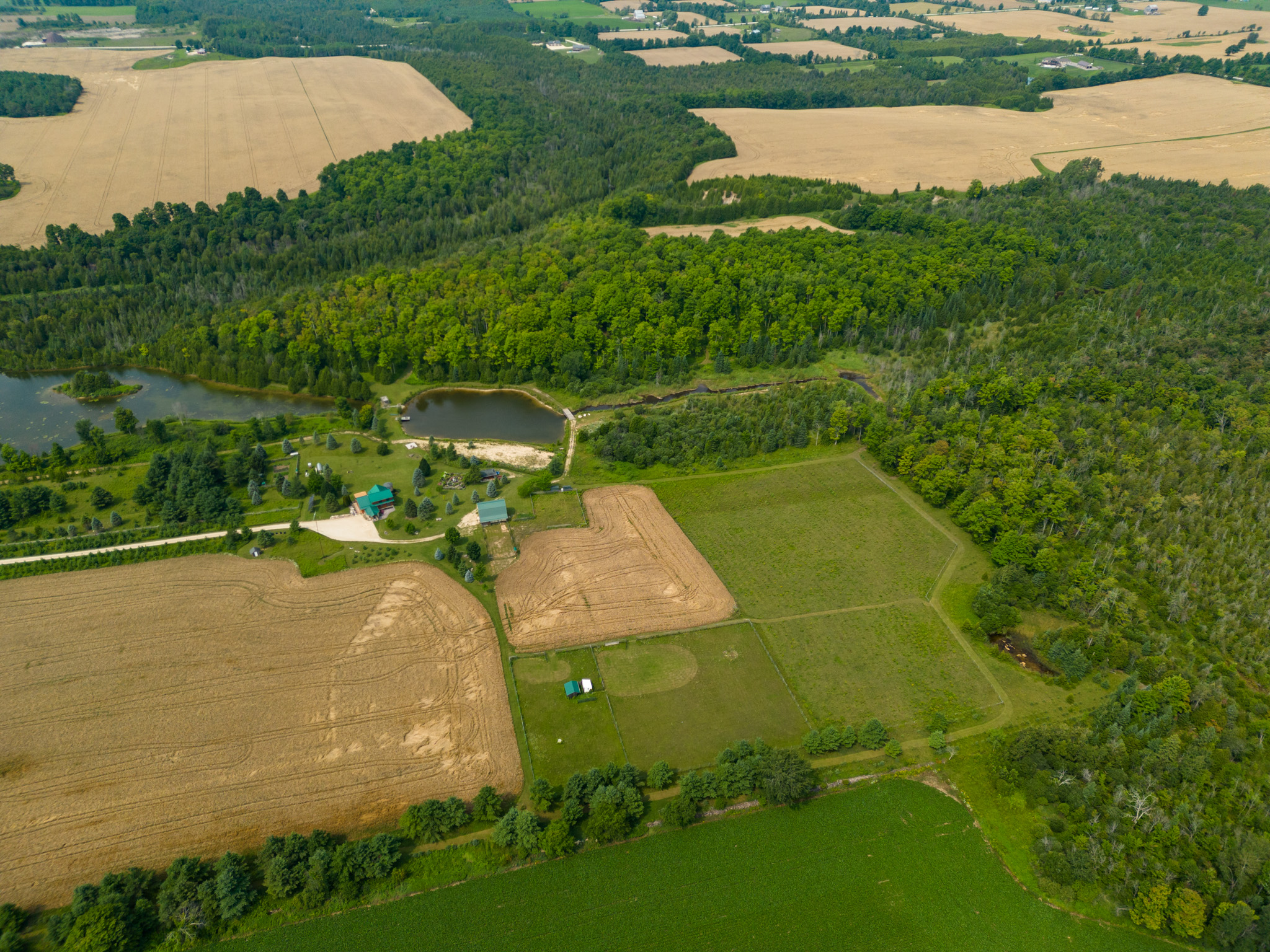 Markdale Homes For Sale