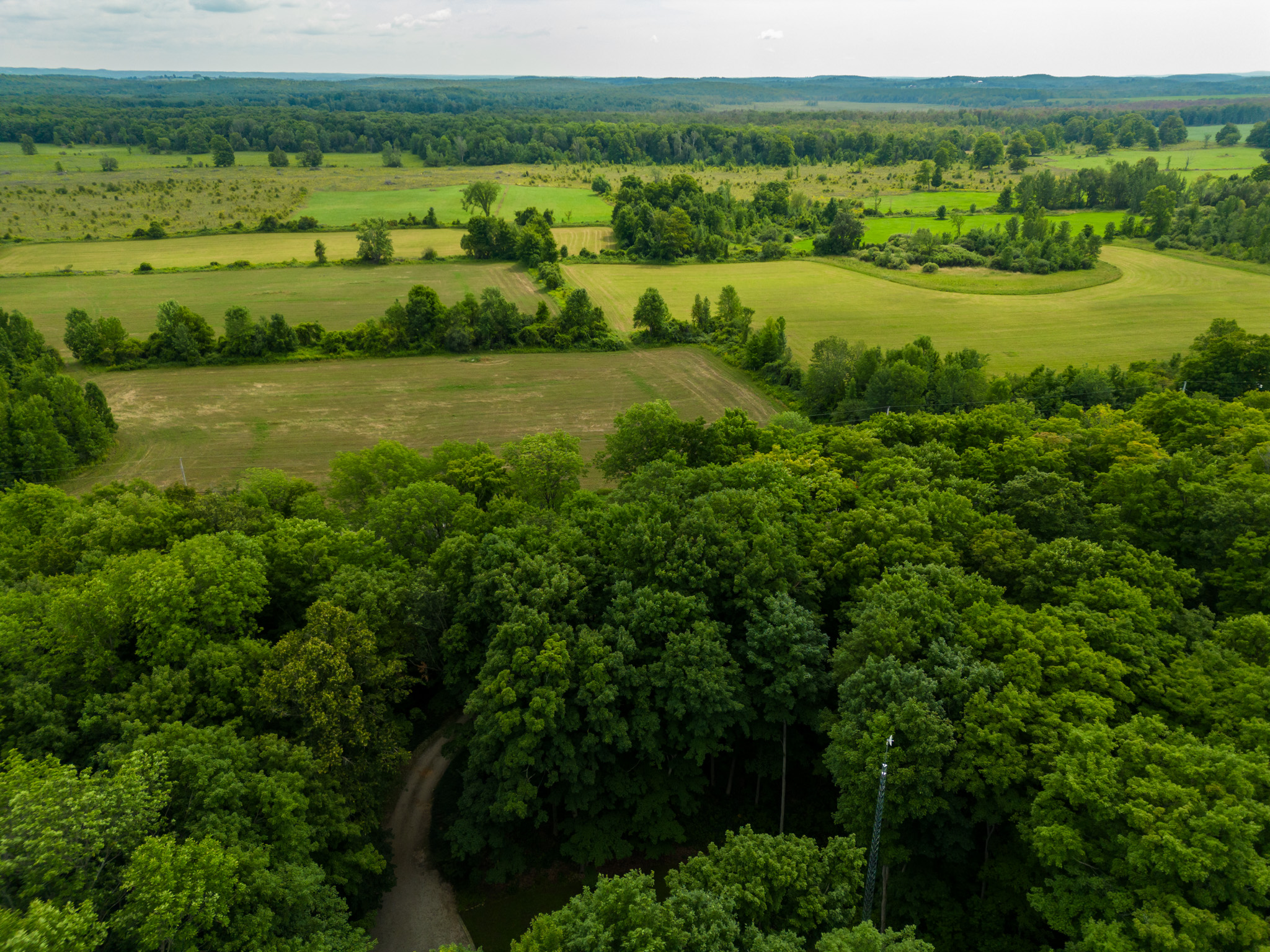 Meaford Homes For Sale