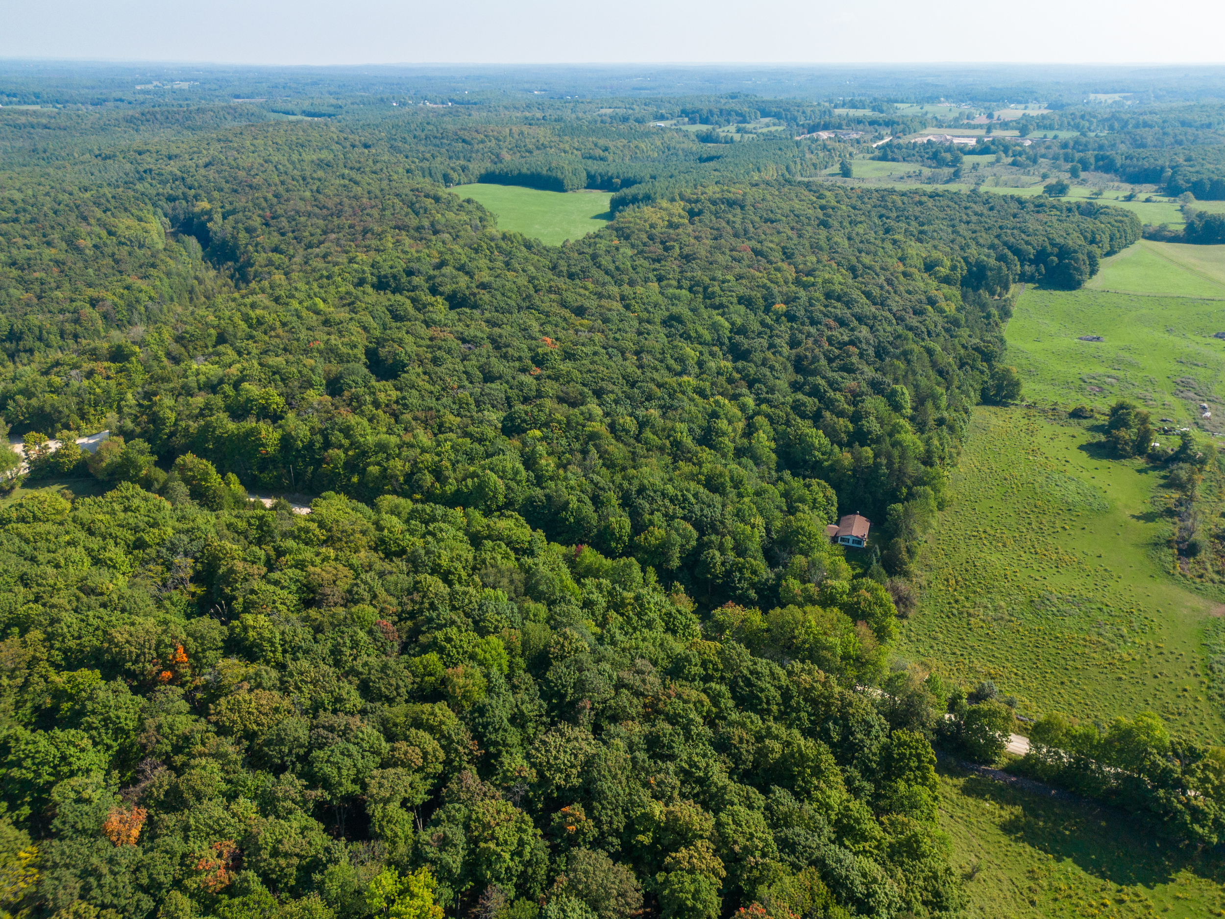 Chatsworth Homes For Sale