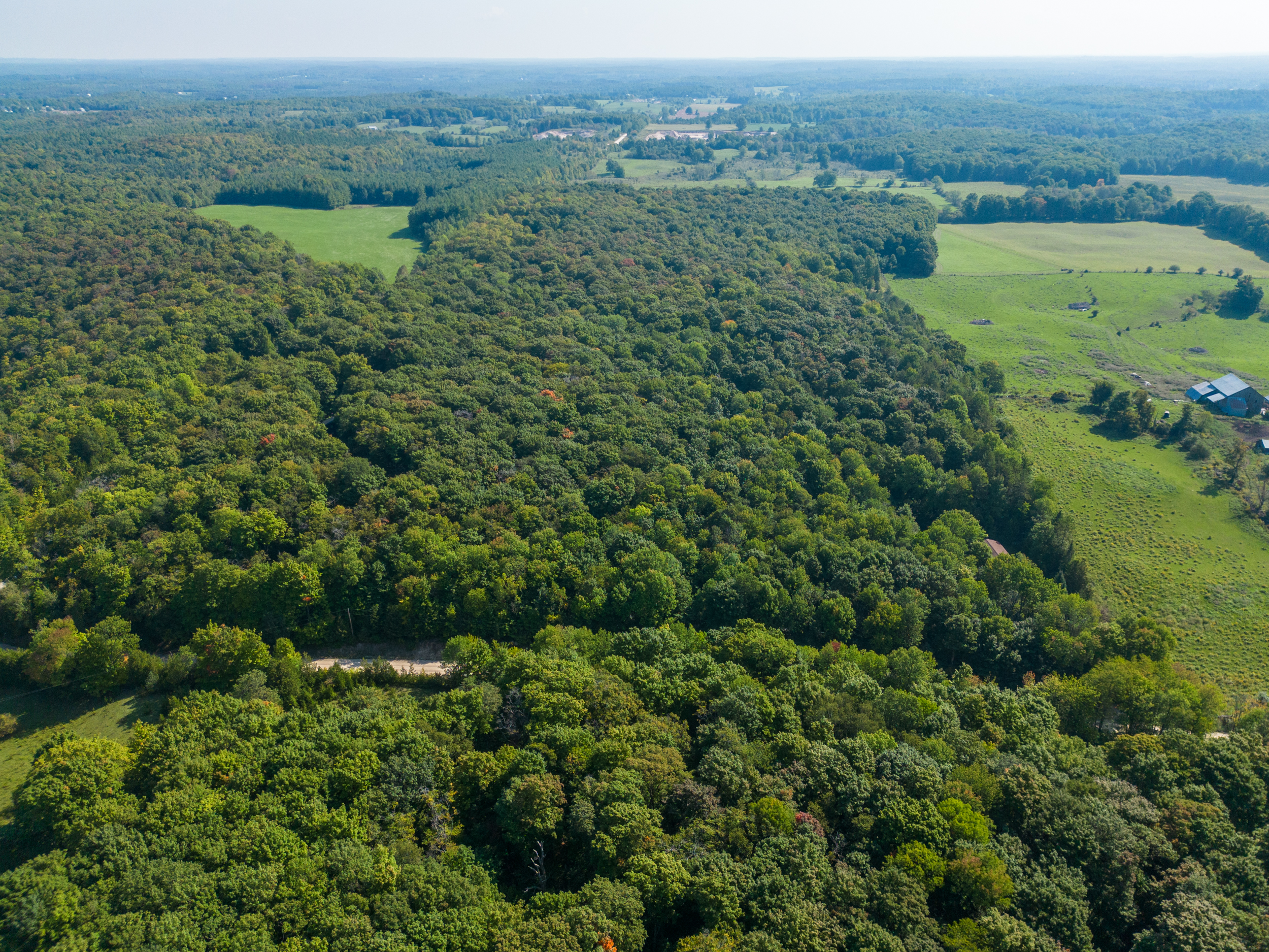 Chatsworth Homes For Sale