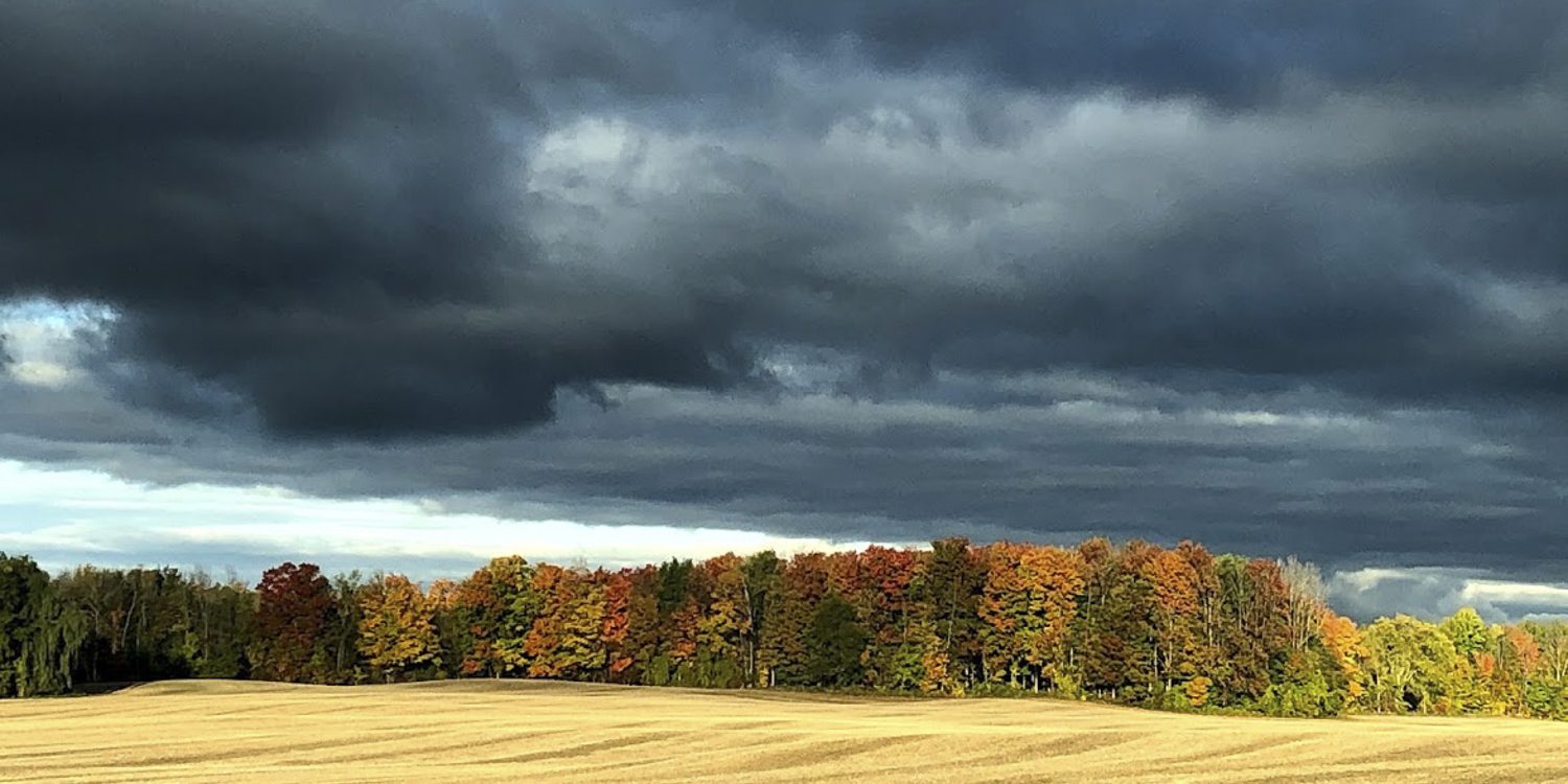 Autumn Drama, Hanover Real Estate - Maryanne McGeachy