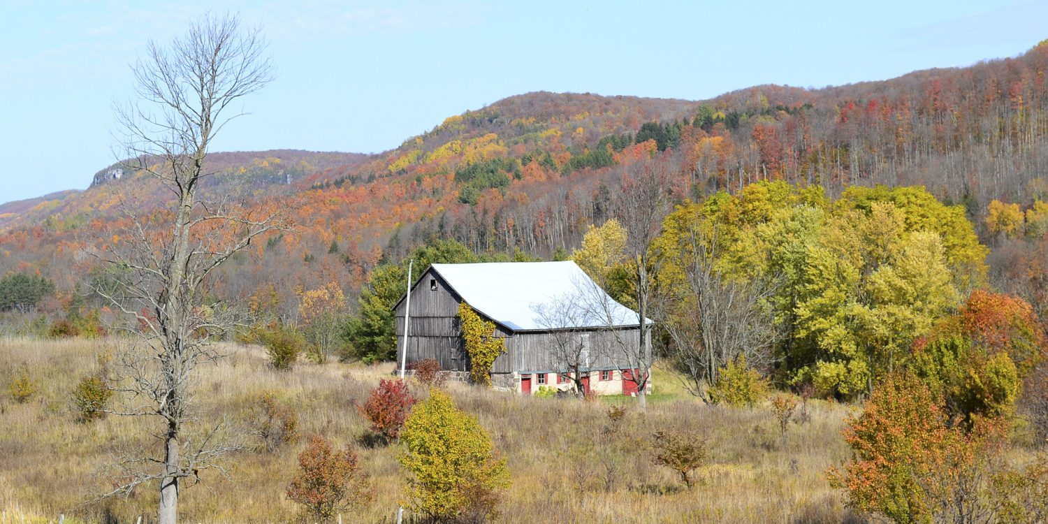 Beaver Valley (Fall) Grey Bruce Real Estate - Mary Blair