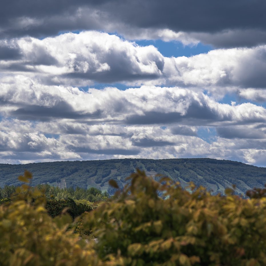 The Blue Mountains Real Estate